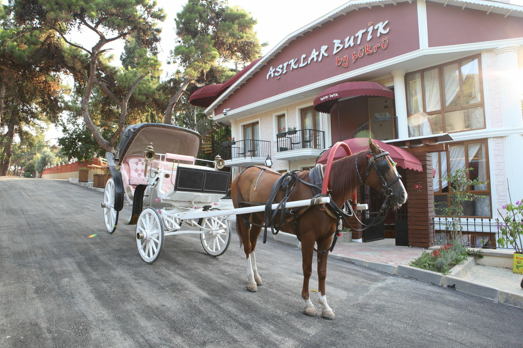 Asiklar Butik Otel By Sukru Πριγκηπονήσια Εξωτερικό φωτογραφία
